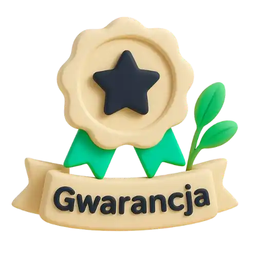 Gwarancja 1 roku na projekt strony internetowej – Webszyk