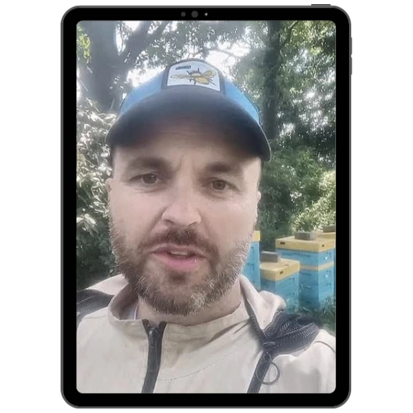 Case study strony internetowej dla klienta – Webszyk Wrocław