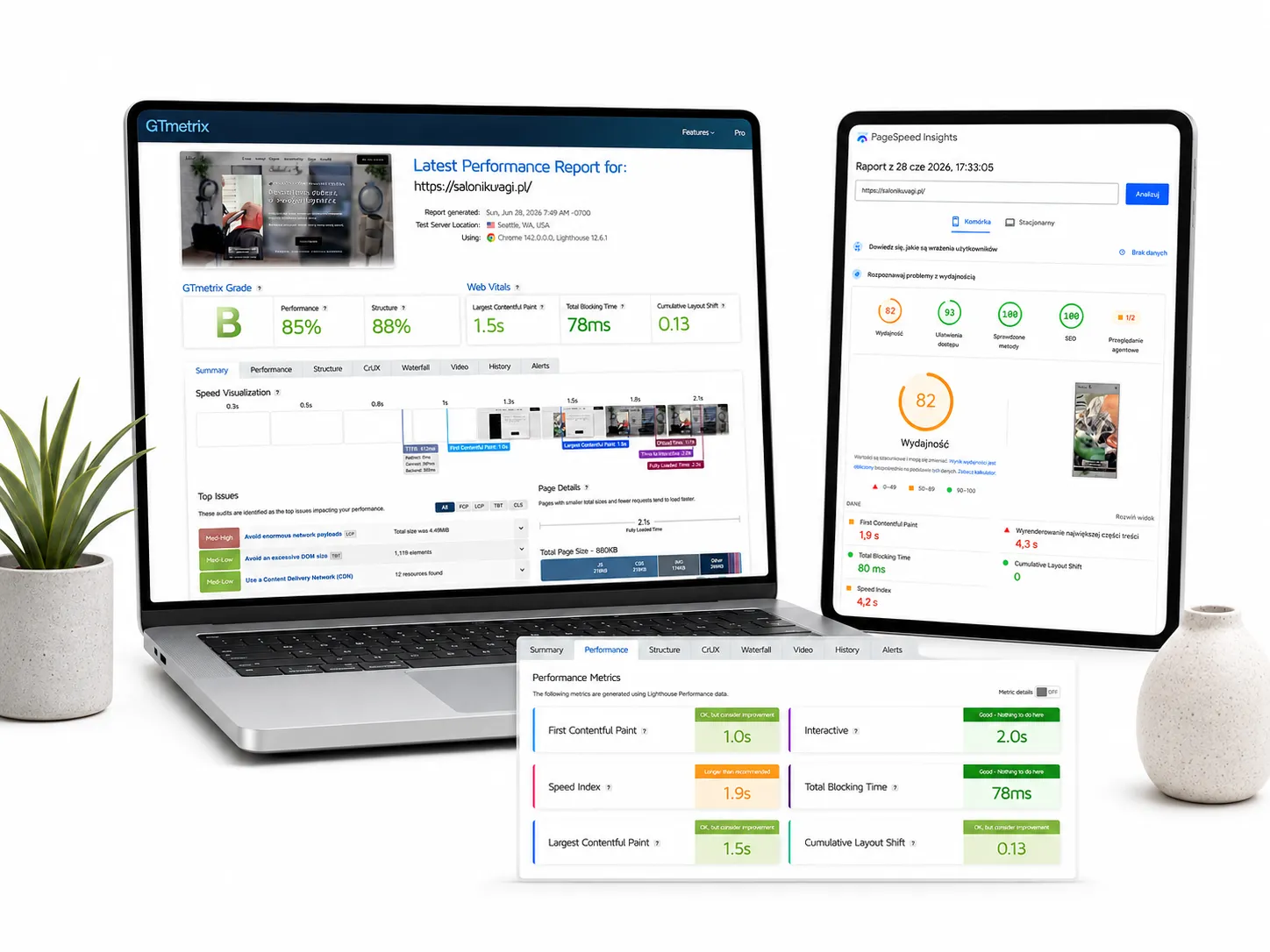 webszyk raport strony case study